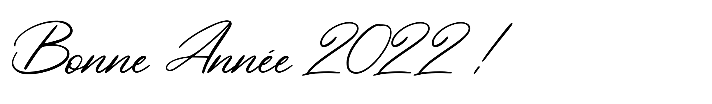 bonne annee 2022 3.jpg