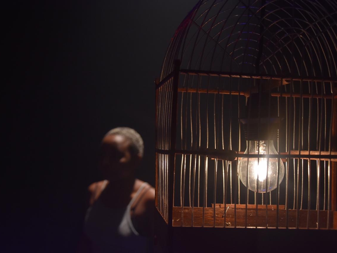 comme loiseau plateau2